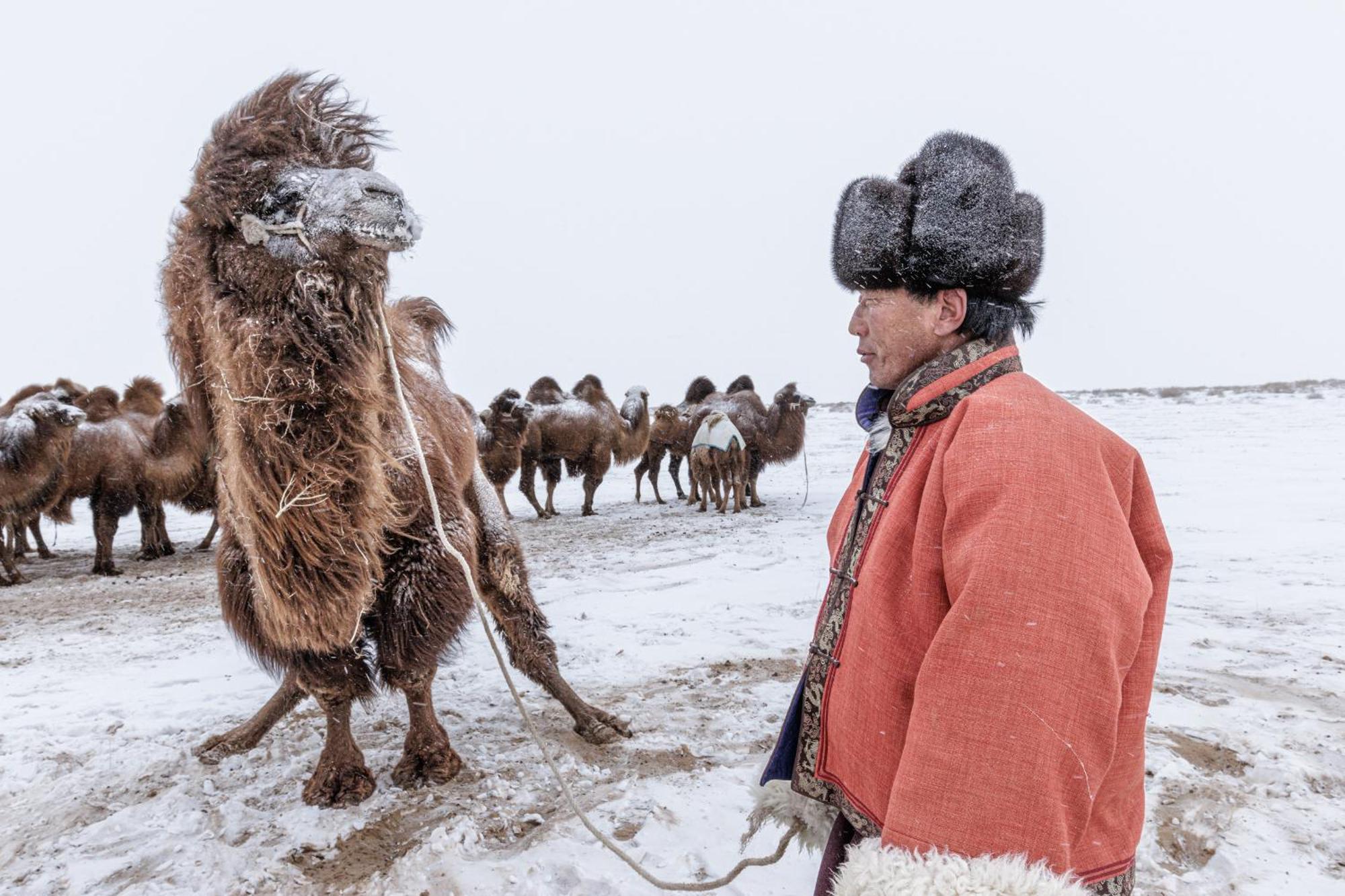 فندق Gobi-Girl أولان باتور المظهر الخارجي الصورة
