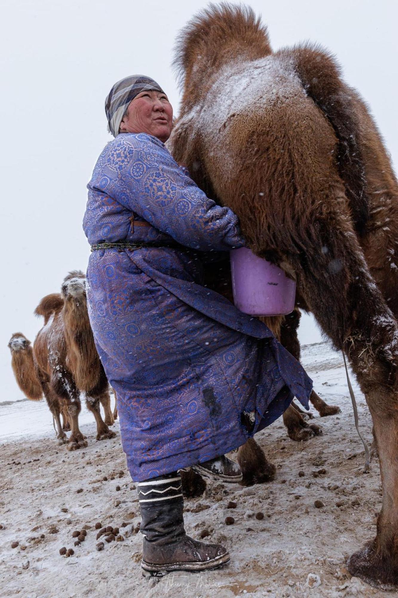 فندق Gobi-Girl أولان باتور المظهر الخارجي الصورة