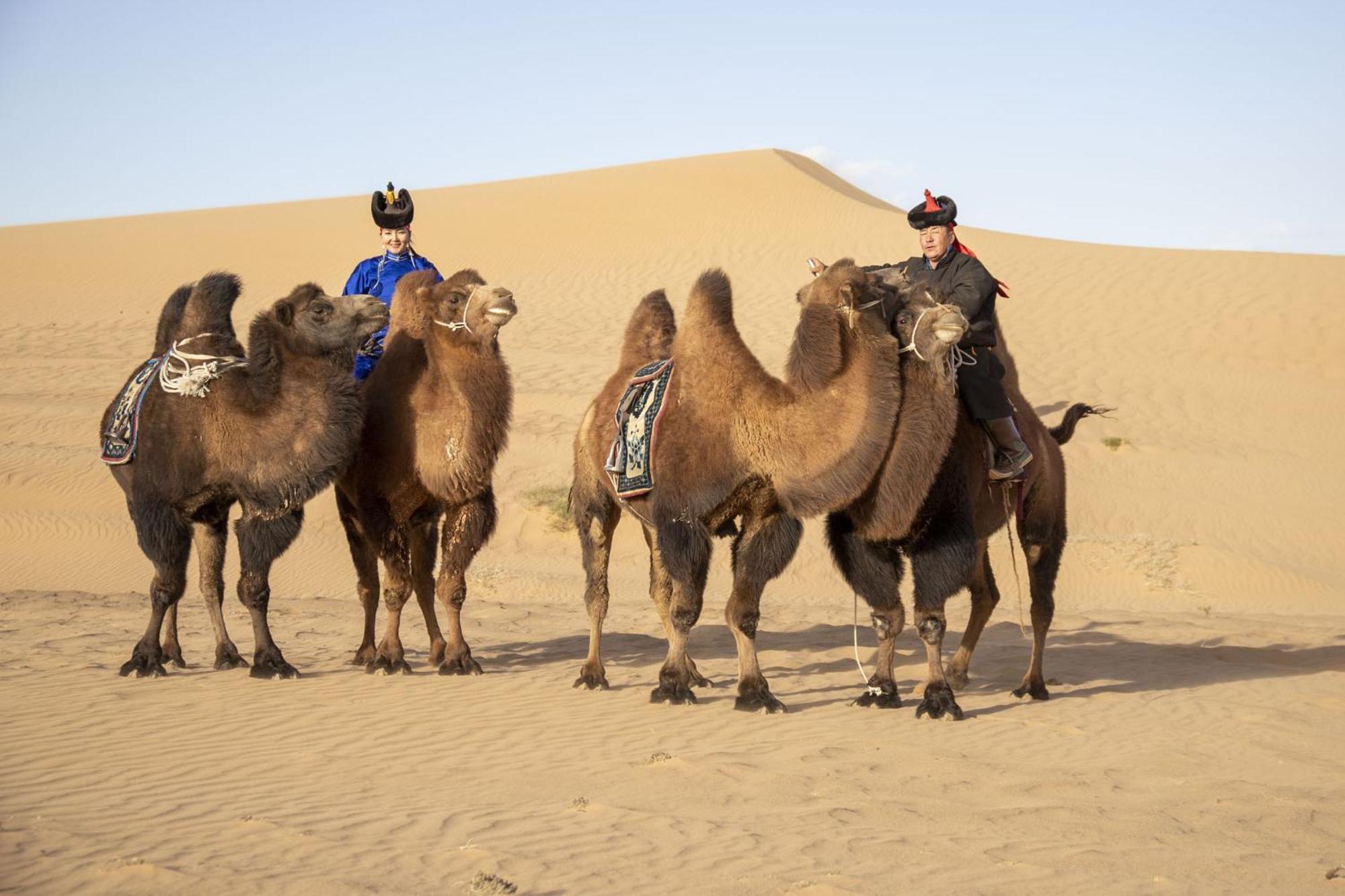 فندق Gobi-Girl أولان باتور المظهر الخارجي الصورة